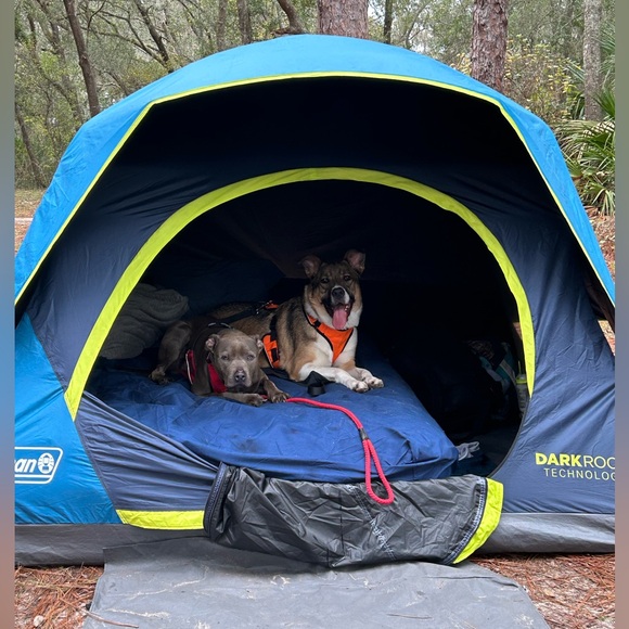 Meet your Posher, Geline - Picture 8 of 8